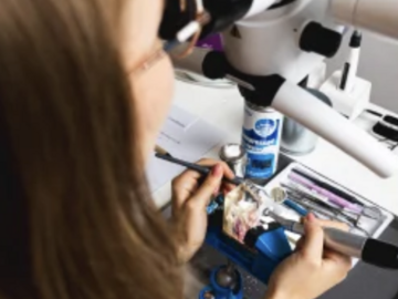 Course: EasyEndo&RestoArtist