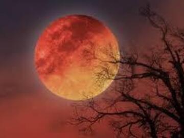 Selling: Full Moon Reading – Discover the Energy of the Moon Cycle