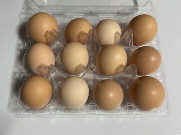 Selling with In-person Payment: Fresh Eggs For Sale