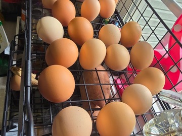 Selling with online payment: Fresh Eggs