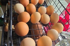 Selling with online payment: Fresh Eggs