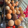 Selling with online payment: Fresh Eggs