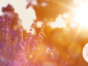Wellness Session Single: Permission to Heal: Navigating Grief After Losing a Parent