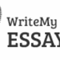 Skills: Write My Essay NZ