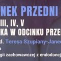 Kurs: Odcinek przedni - odbudowa kompozytowa klasy III, IV, V