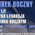 Kurs: Odcinek boczny - odbudowa kompozytowa klasy I i II