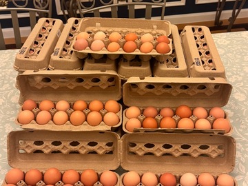 Selling with online payment: Farm Fresh Organic Eggs 