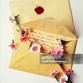 Selling: SUNDAY SPECIAL- 3000 WORD LOVE READING