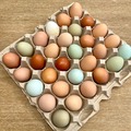 Selling with In-person Payment: Free-range, organic feed supplemented chicken eggs 