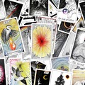 Selling:   Life Guidance & Support – Sessions Under 2 Hours  