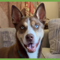  : Axel
