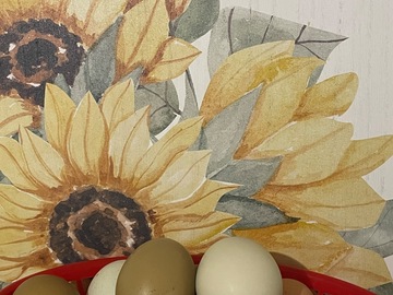 Selling with online payment: Multi colored Farm Fresh eggs