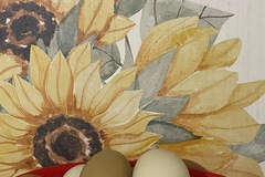 Selling with online payment: Multi colored Farm Fresh eggs