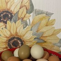 Selling with online payment: Multi colored Farm Fresh eggs