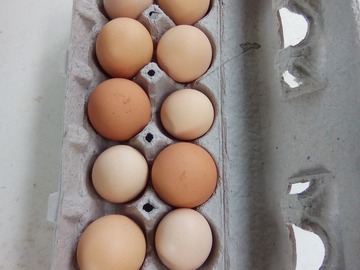 Selling with In-person Payment: Organic farm fresh eggs 