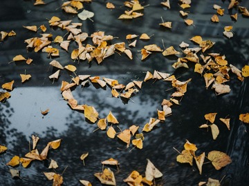 Selling: AUTUMN EQUINOX- HEAL YOUR LOVE SPELL AND READING. 