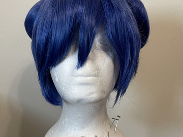 Selling with online payment: Blue Wig with 2 Buns
