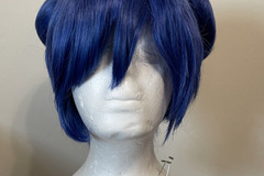 Selling with online payment: Blue Wig with 2 Buns