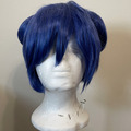 Selling with online payment: Blue Wig with 2 Buns