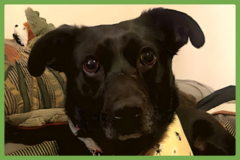  : Luna