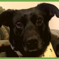  : Luna