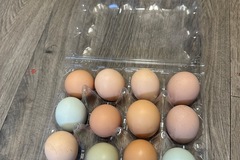 Selling with online payment: Farm fresh eggs