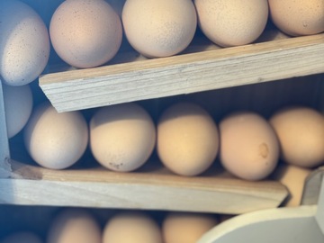 Selling with In-person Payment: Delicious Eggs 