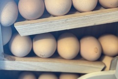 Selling with In-person Payment: Delicious Eggs 
