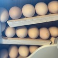 Selling with In-person Payment: Delicious Eggs 