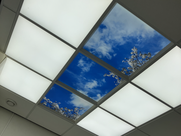 Gebruikte apparatuur: Plafondverlichting met uitzichit - Lucas verlichting 