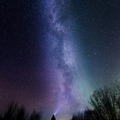 Selling:  Dream Interpretation Reading