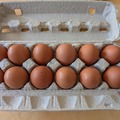 Selling with online payment: Free Range, Farm Fresh Brown Chicken Eggs