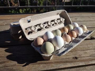 Selling with In-person Payment: Farm Fresh Variety Eggs