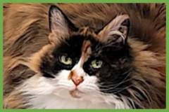  : Millie