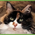  : Millie