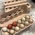 Selling with In-person Payment: Farm Fresh Chicken Eggs