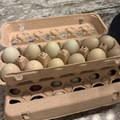 Selling with In-person Payment: Farm Fresh Chicken Eggs