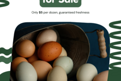 Selling with In-person Payment: Farm fresh eggs from free range chickens