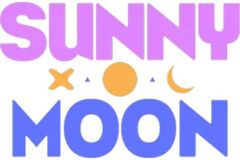 1 on 1 Mentoring: Sunnymoon Project - Visual Development services and Game Design S