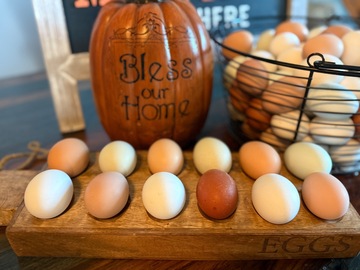 Selling with In-person Payment: Farm Fresh Eggs (Des Moines, Colfax, Newton)