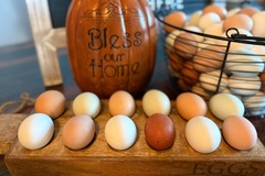 Selling with In-person Payment: Farm Fresh Eggs (Des Moines, Colfax, Newton)