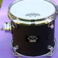 Selling with online payment: SOLD-Trick 8x8 rack tom SOLD