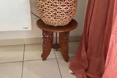 Vente: Ficus elastica