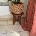 Vente: Ficus elastica