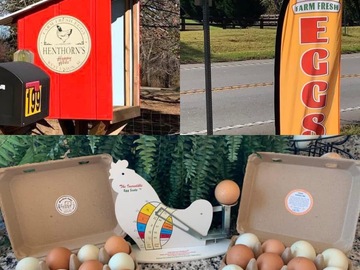 Selling with In-person Payment: Henthorn’s Happy Hens chicken eggs