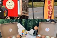 Selling with In-person Payment: Henthorn’s Happy Hens chicken eggs