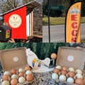 Selling with In-person Payment: Henthorn’s Happy Hens chicken eggs