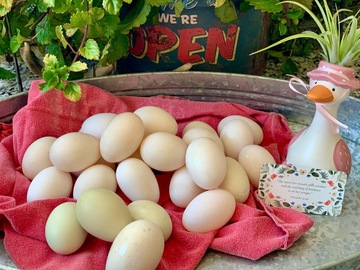 Selling with In-person Payment: Henthorn’s Delightful Duck Eggs