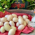Selling with In-person Payment: Henthorn’s Gleeful Goose Eggs