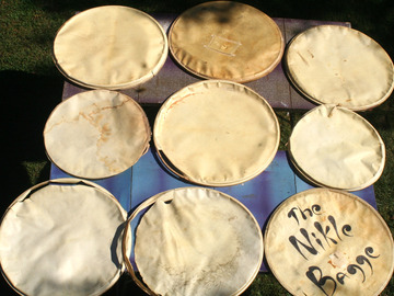 Selling with online payment: 9 vintage calf bass drum heads for the materials